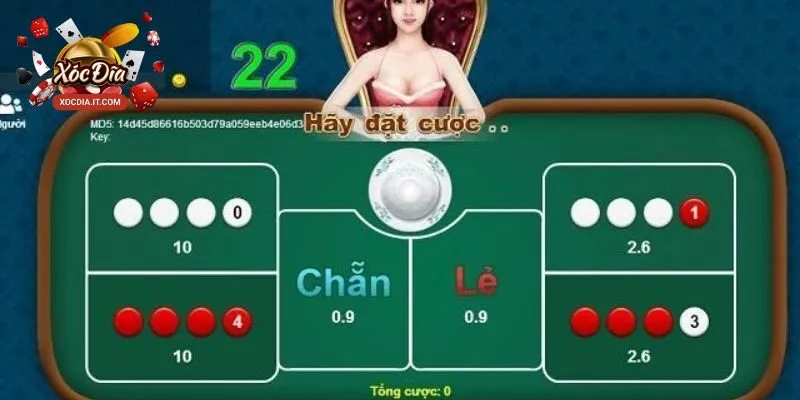 Top 5 Cửa Cược Xóc Đĩa Uy Tín Nhất Năm 2025